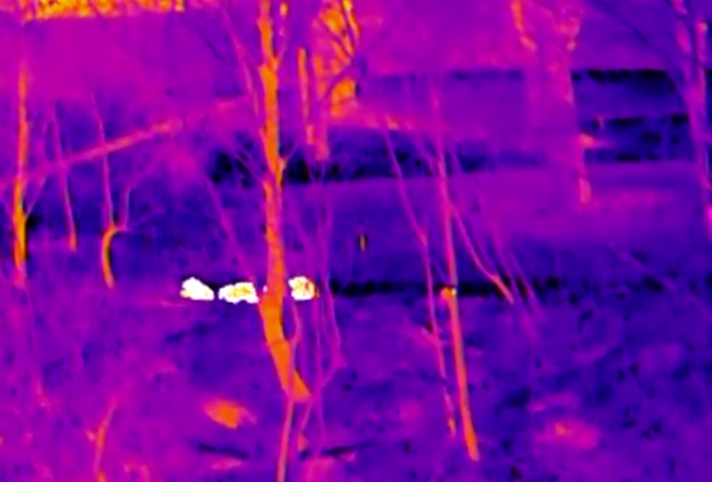 Thermal Master DV2 Thermal Camera Touchscreen